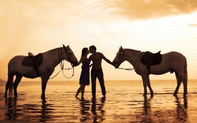 Романтическая прогулка на лошадях для двоих